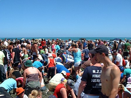 An image from the Manawatu.com Himatangi Beach Big Dig on 23 January 2006
